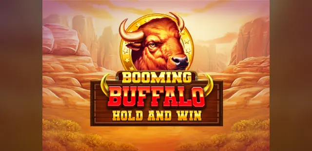 Buffalo Hold and Win