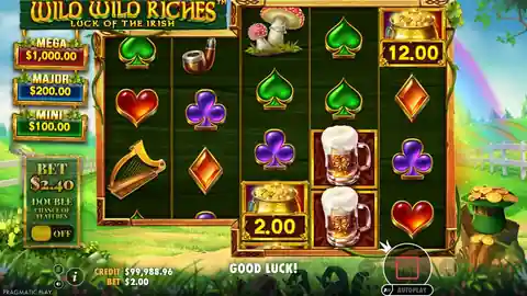 Wild Wild Riches: One spin at a $2.00 bet, about ten seconds. The reels stop left to right,...