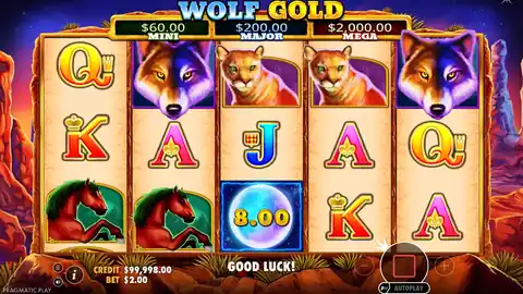 Wolf Gold: One spin, under five seconds: the reels stop left to right and four queens...